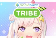 Ngesimp Hololive ID sociabuzz