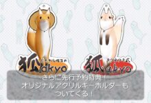 Boneka Rubah Mugi Straw Hat Fox Akyo di Kickstarter