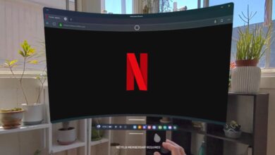 Quest's Web Browser Kini Mendukung Netflix